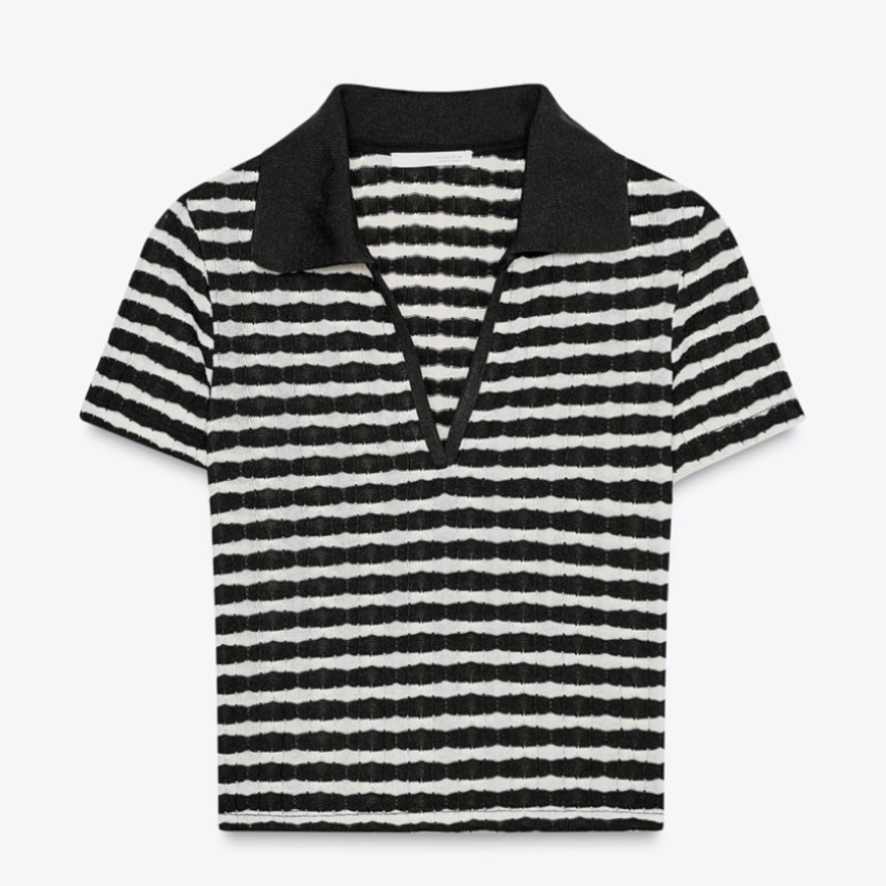 Zara Black and White Striped Crop Top